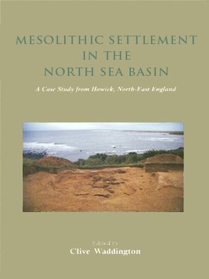 cover image of Mesolithic Settlement in the North Sea Basin
